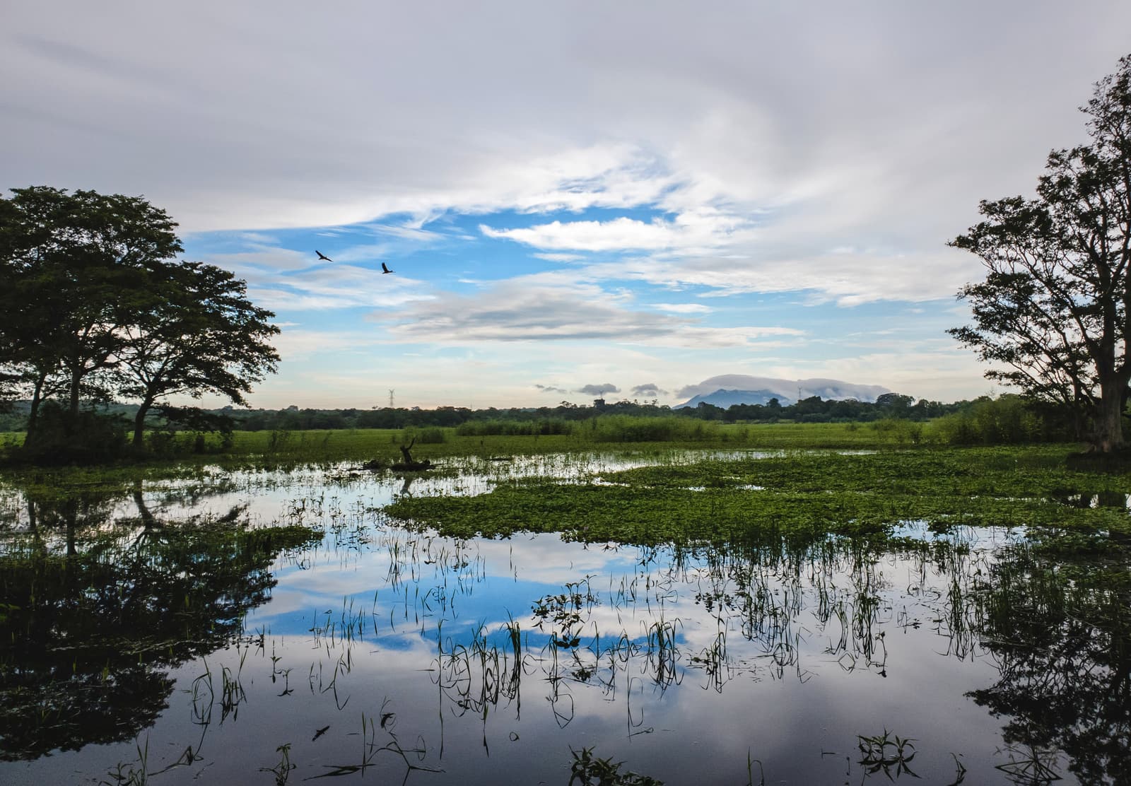 Das stille Wasser des Habarana-Sees spiegelt Wolken und Bäume