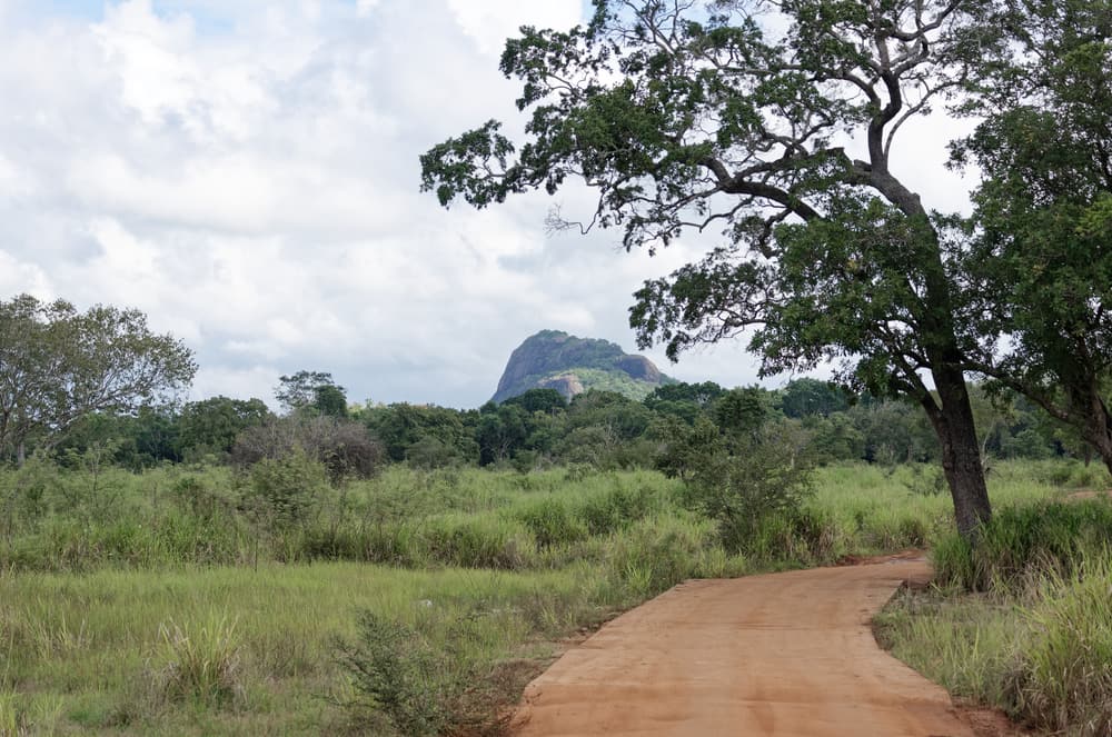 Eine rote Sandpiste schlängelt sich durch den Wald des Hurulu Eco Park