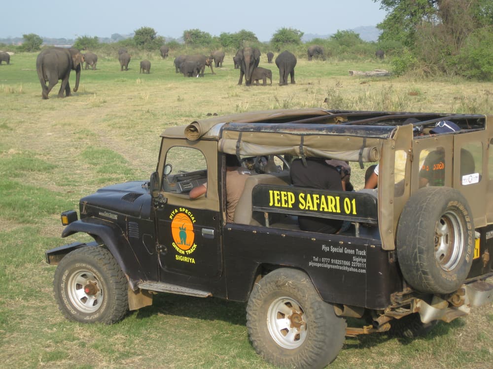 Ein offener Safari-Jeep auf dem Gras in Minneriya, im Hintergrund eine Elefantenherde